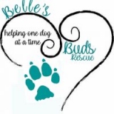(501 C3 Charity) Belle's Buds Rescue