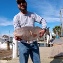 (Residential & Commercial Electrical Services) Roy Gomez