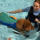 (Pet Services) Sandra Wilson