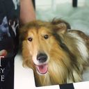 (Pet Services) Sandra Wilson
