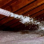 (Insulation) Jennifer  Alvarez