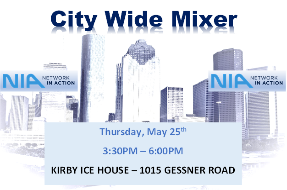 NIA City-Wide Mixer on May 25th at the Kirby Ice House on Gessner!
