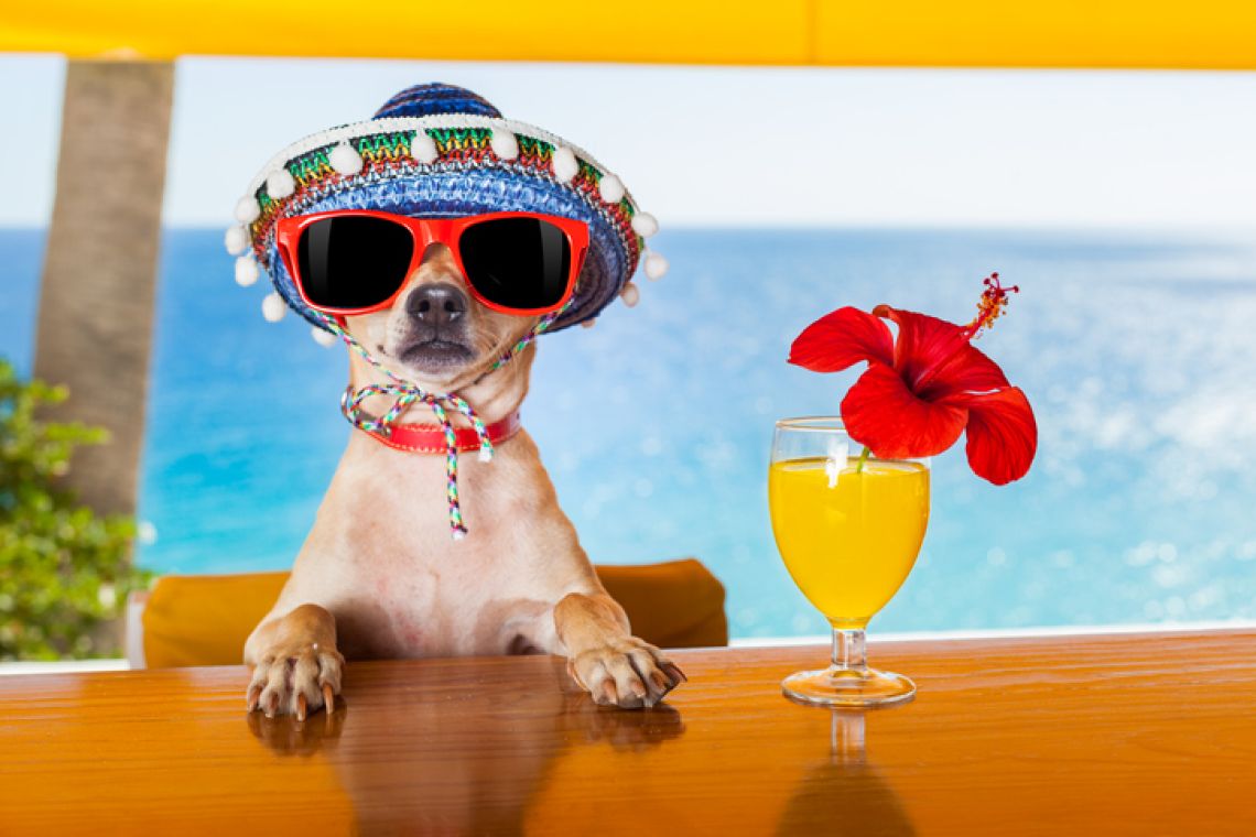 HAPPY HOUR NETWORKING WEDNESDAY