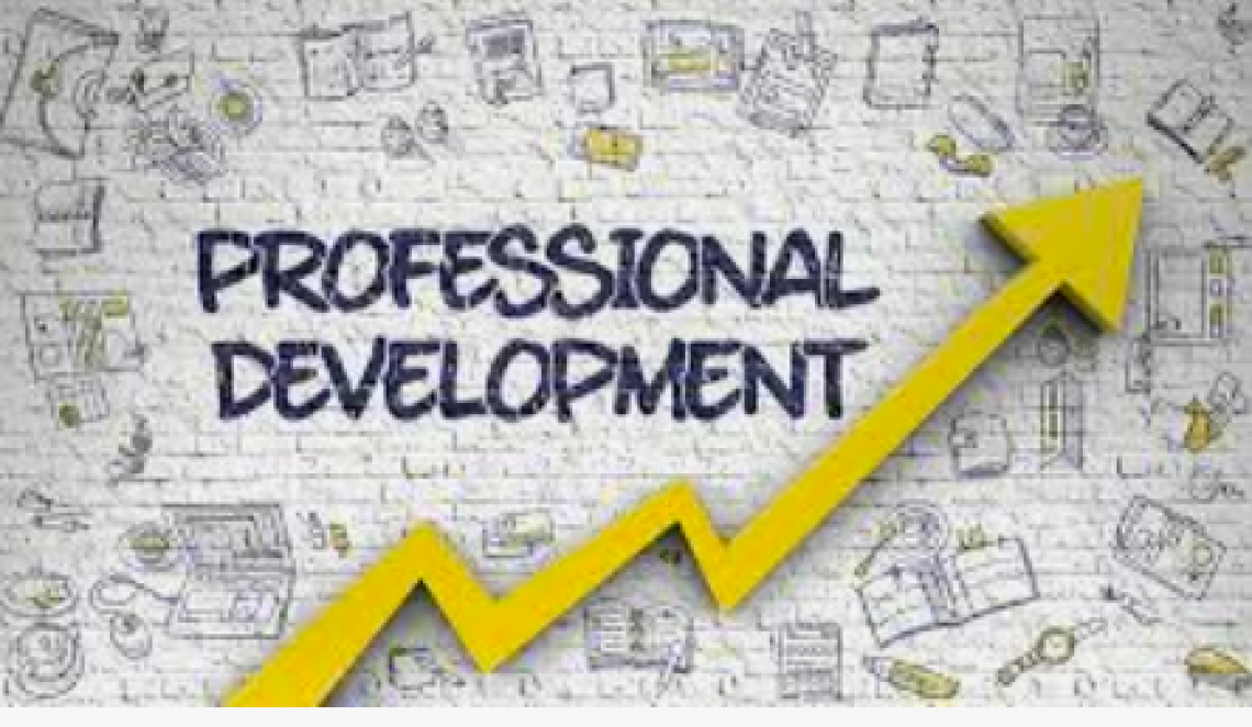 Professional Development