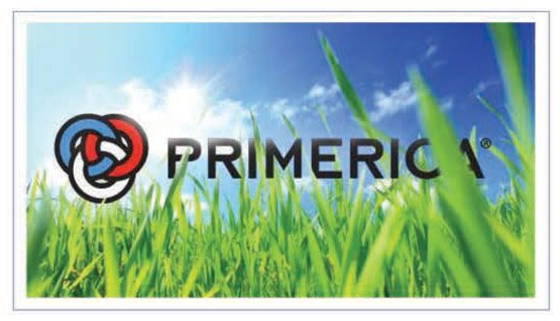 (Life Insurance) LeNarus Parker-Peterson