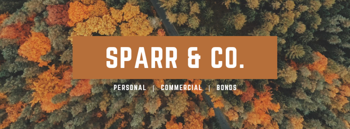 (P & C Insurance) Jake Sparrenberger