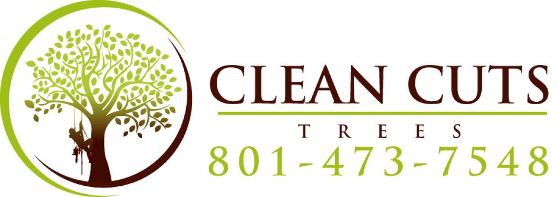 (Tree Care/Cutting) Christy Hampton