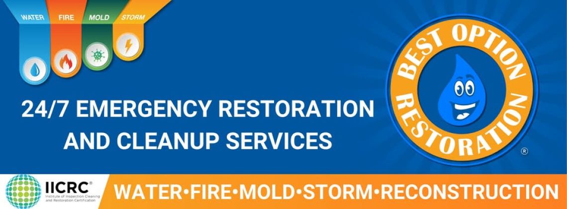 (Restoration) Wendy Ricks