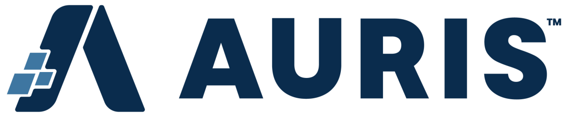 (Payroll / HR Solutions) Asha Adira