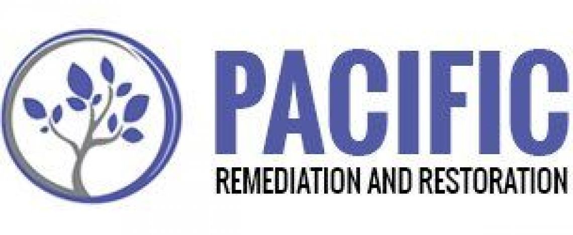 (Remediation and Restoration Services) Steffen Werner and  James Vincent