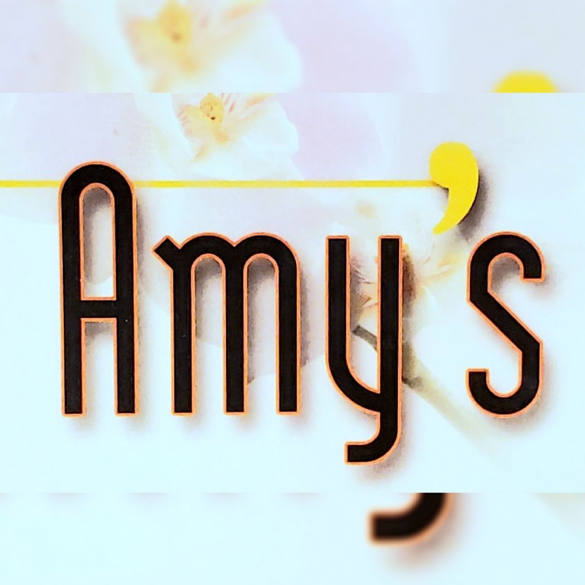 (Skincare Specialist and Med Spa) Amy Schweiss