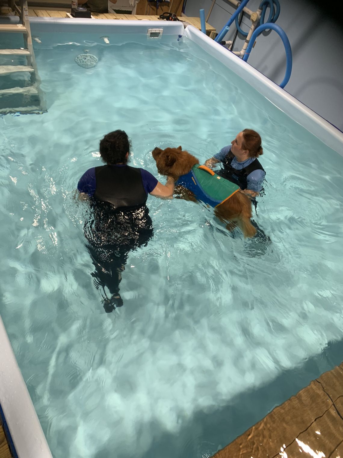 (Pet Services) Sandra Wilson