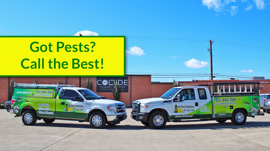 (Pest Control) Wendell Daniel