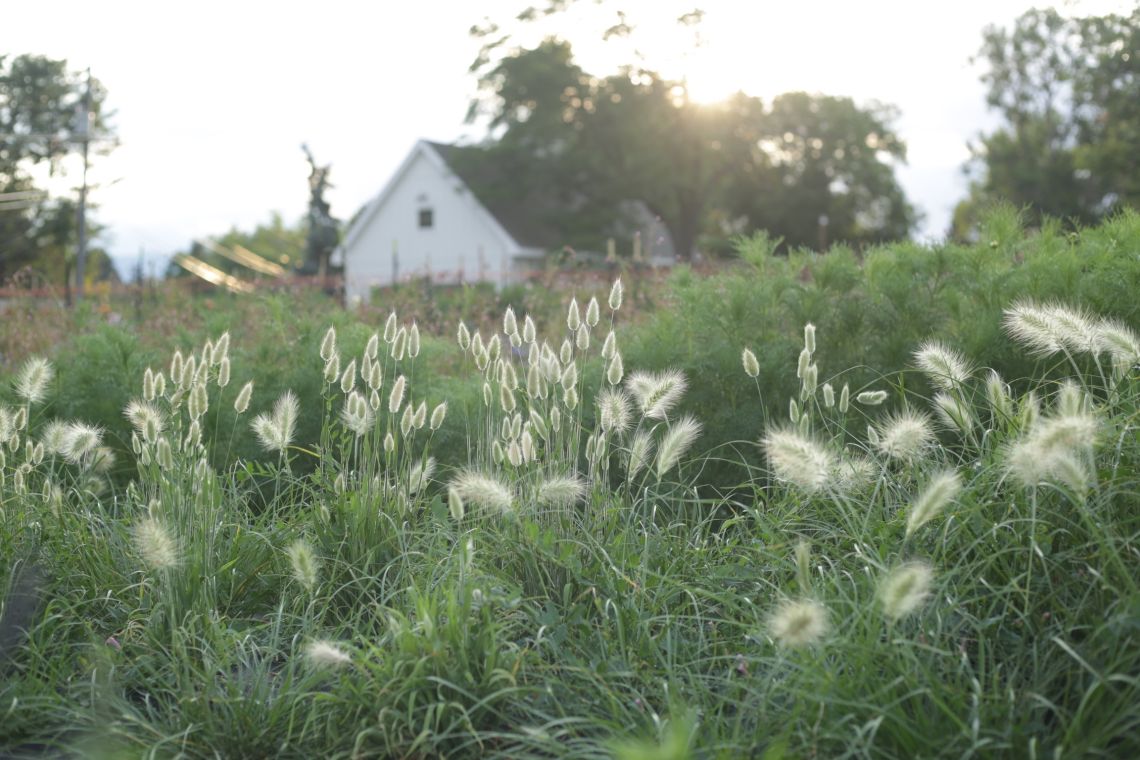 (Farmer-Florist) Gina Schley