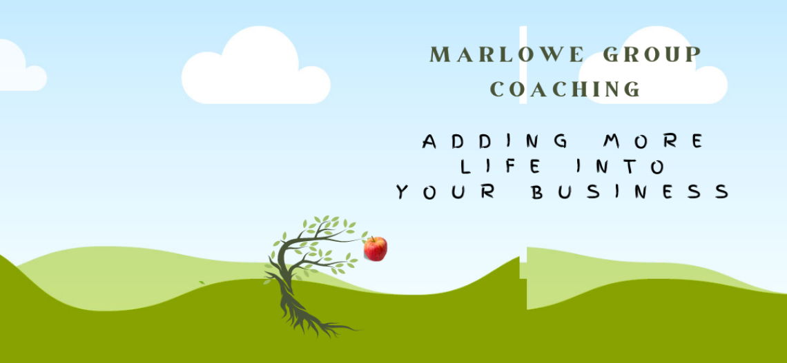 Business Coach -- "Putting More Life Into Your Business"--- Rafael Marlowe