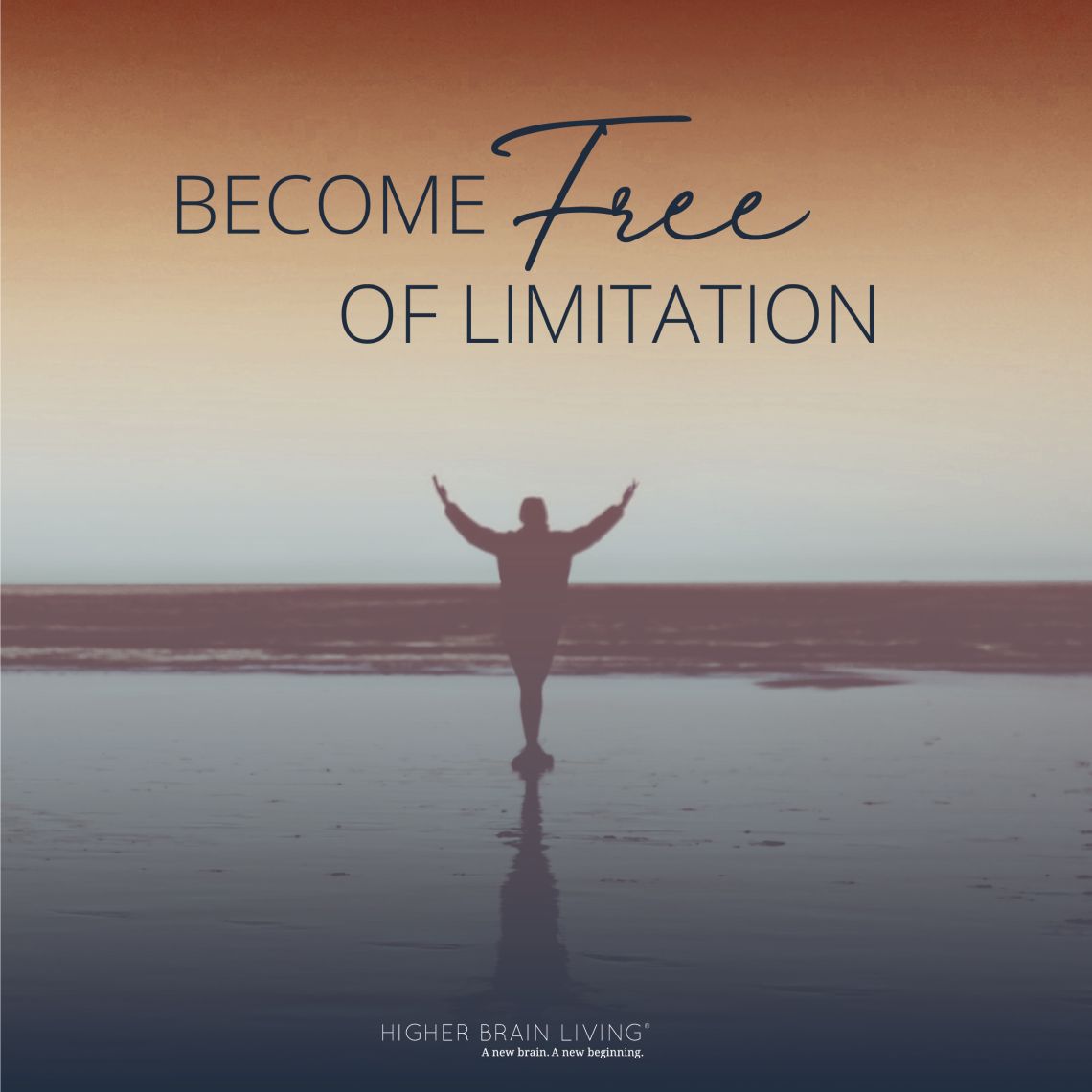 (Holistic Wellness) Anne Ferguson