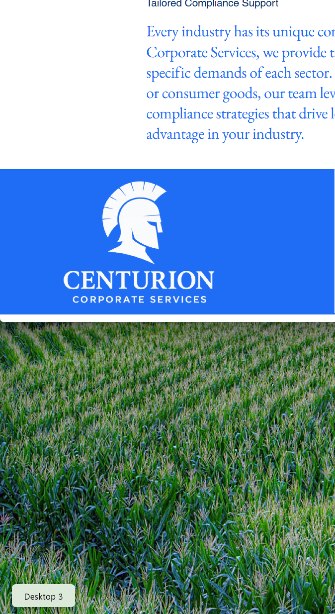 Anwar Ferguson (Business Startup Services) 