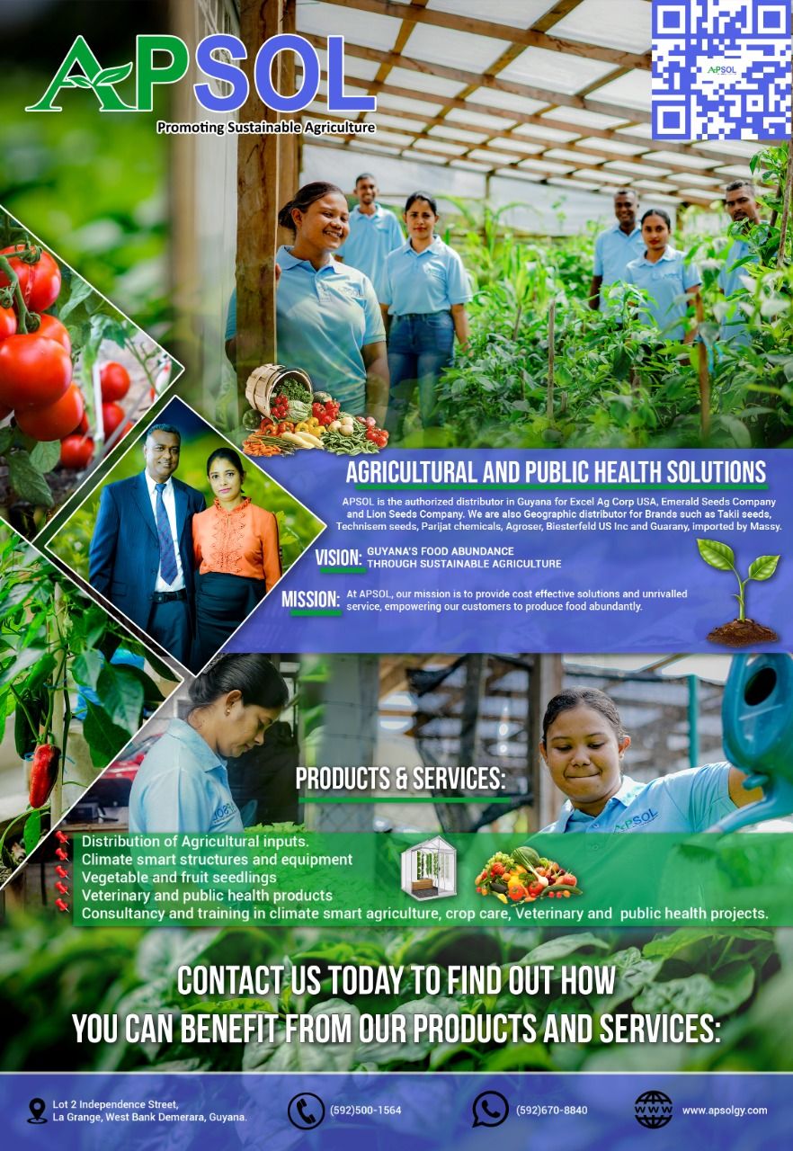 My Profile Network In Action