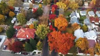 Fall Colors of Boise, Idaho