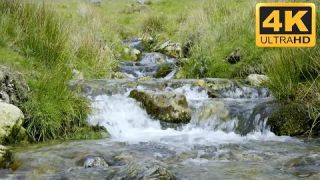 Water Flowing Video with Relaxing Flowing Water Sounds in 4K (nature ASMR)