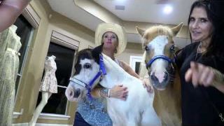 A Place For Peanut Fundraiser Aug 24, 2019