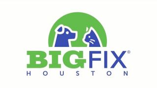 Big Fix Houston - An Annual Large Scale Spay, Neuter Event
