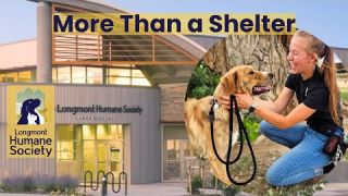 More Than a Shelter